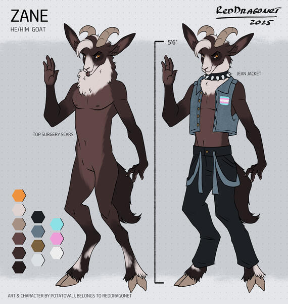 Zane Reference Sheet - July 2025