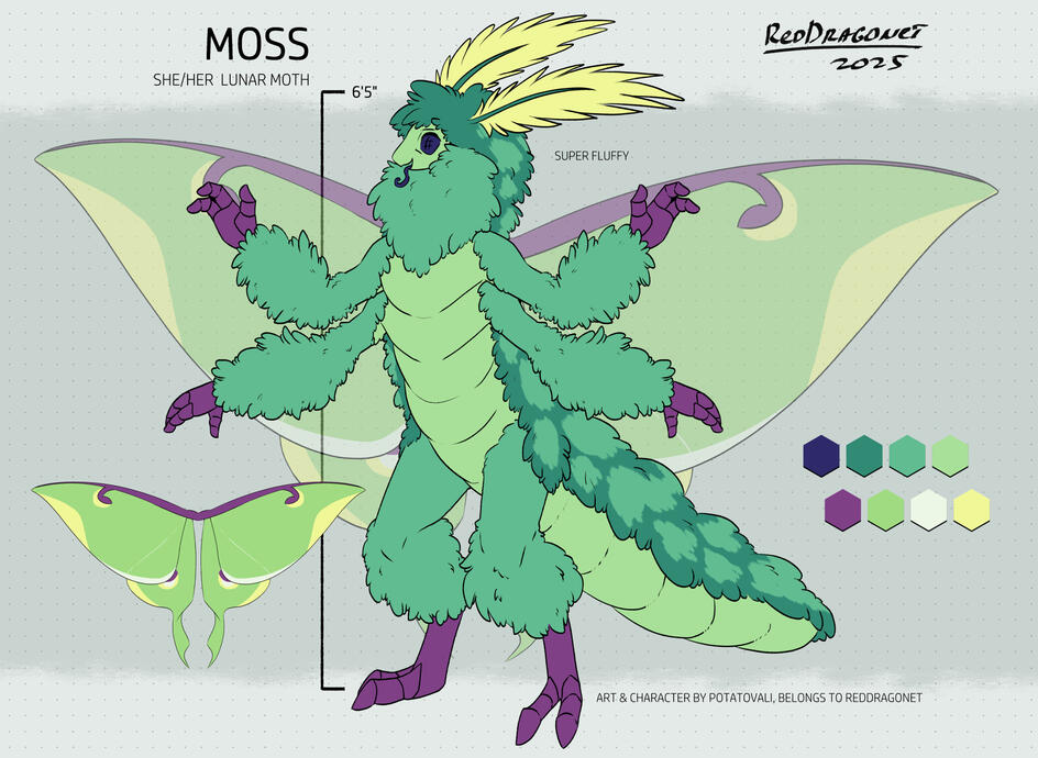 Potatovali Illustration Prices 2025